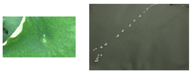 米兰·(milan)医用纺织