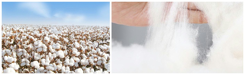 米兰·(milan)医纺